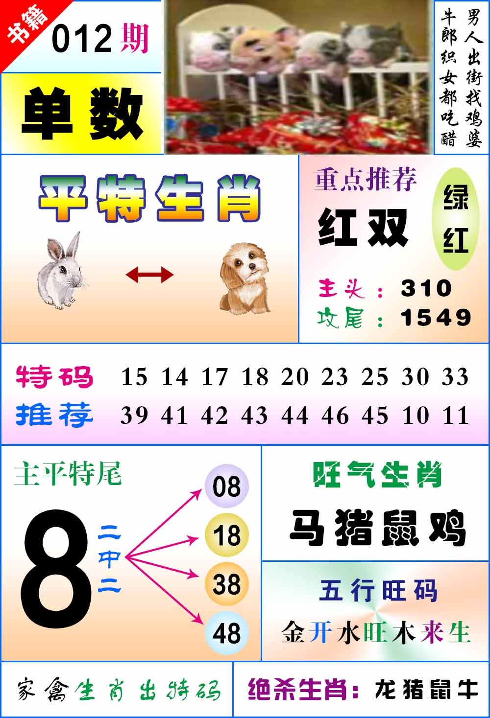 ���ͼƬ�Ŵ�