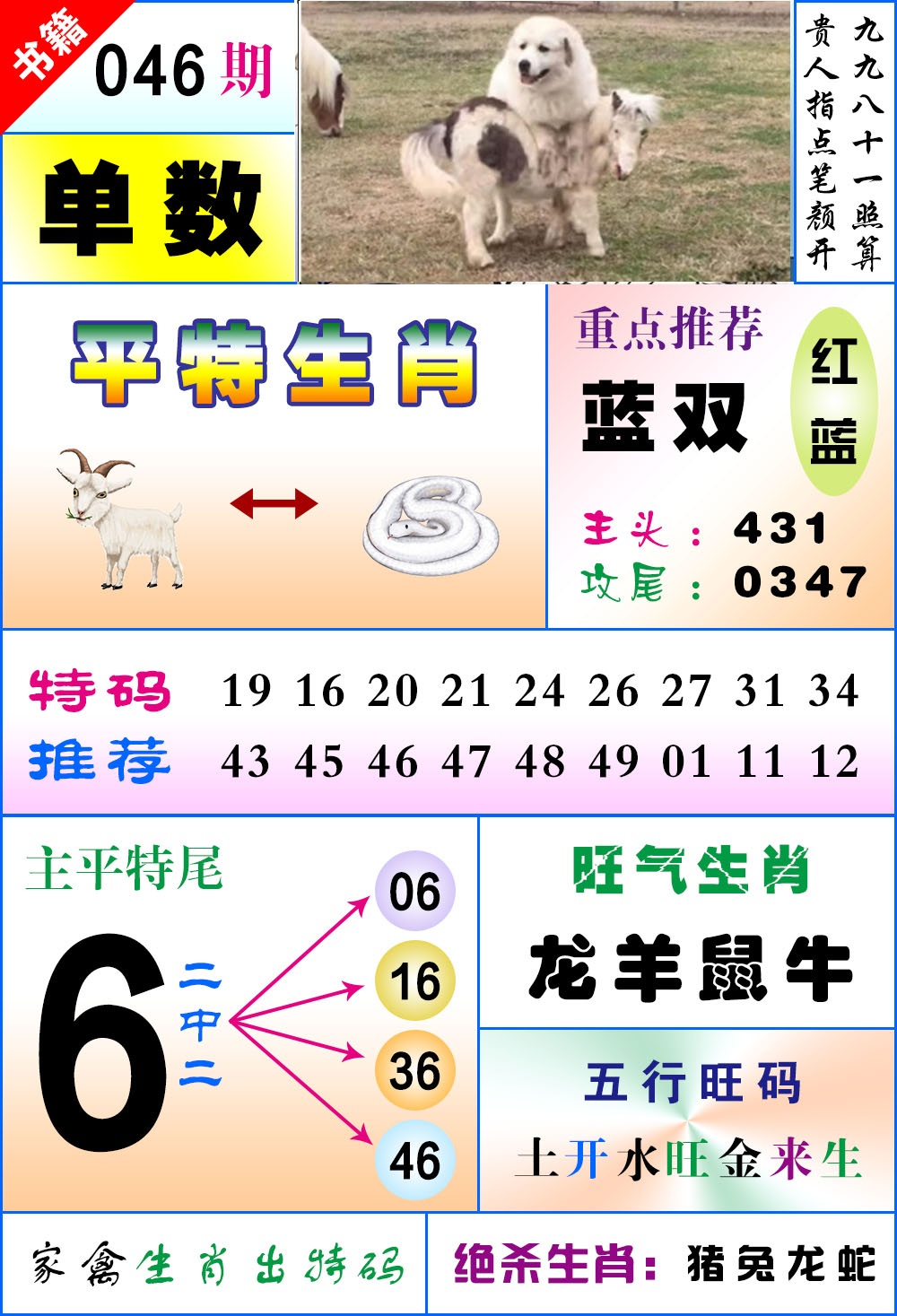 ���ͼƬ�Ŵ�