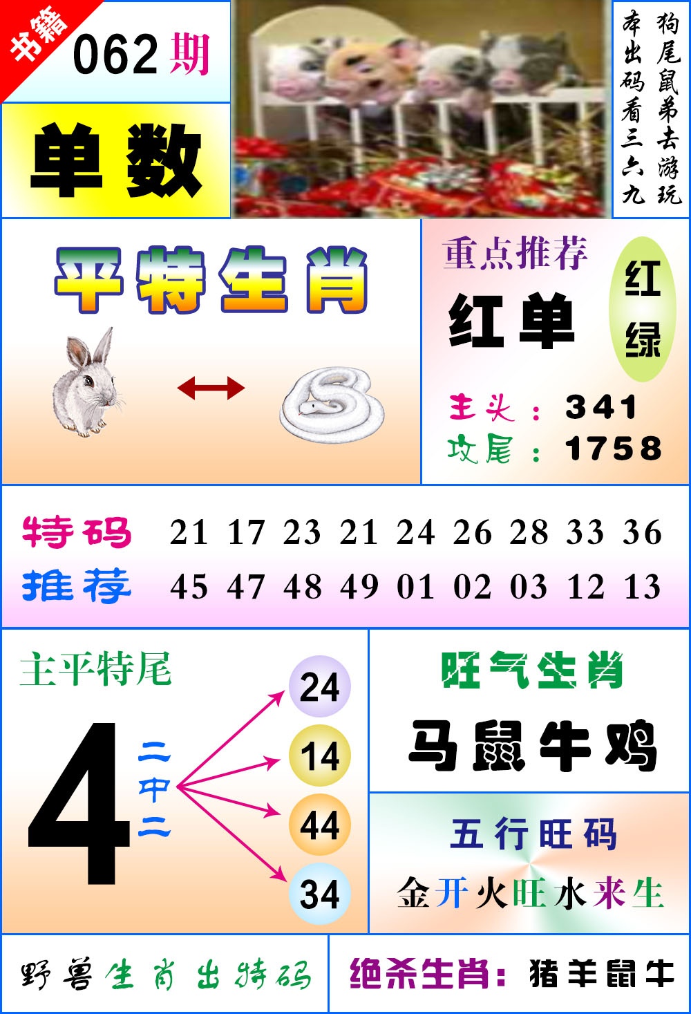 ���ͼƬ�Ŵ�