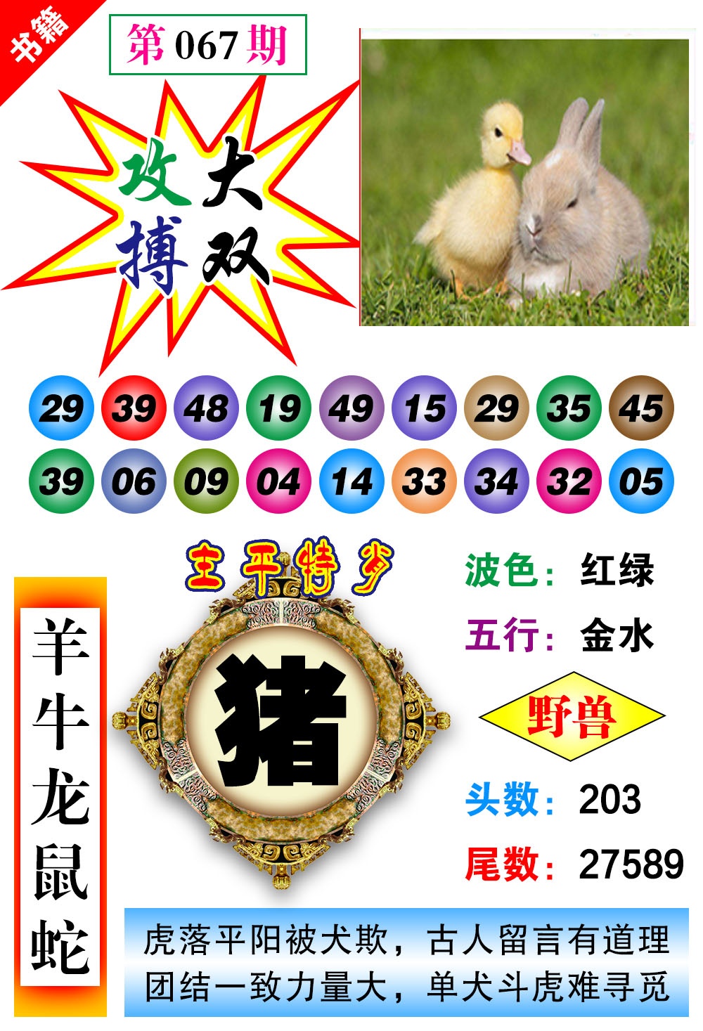 ���ͼƬ�Ŵ�