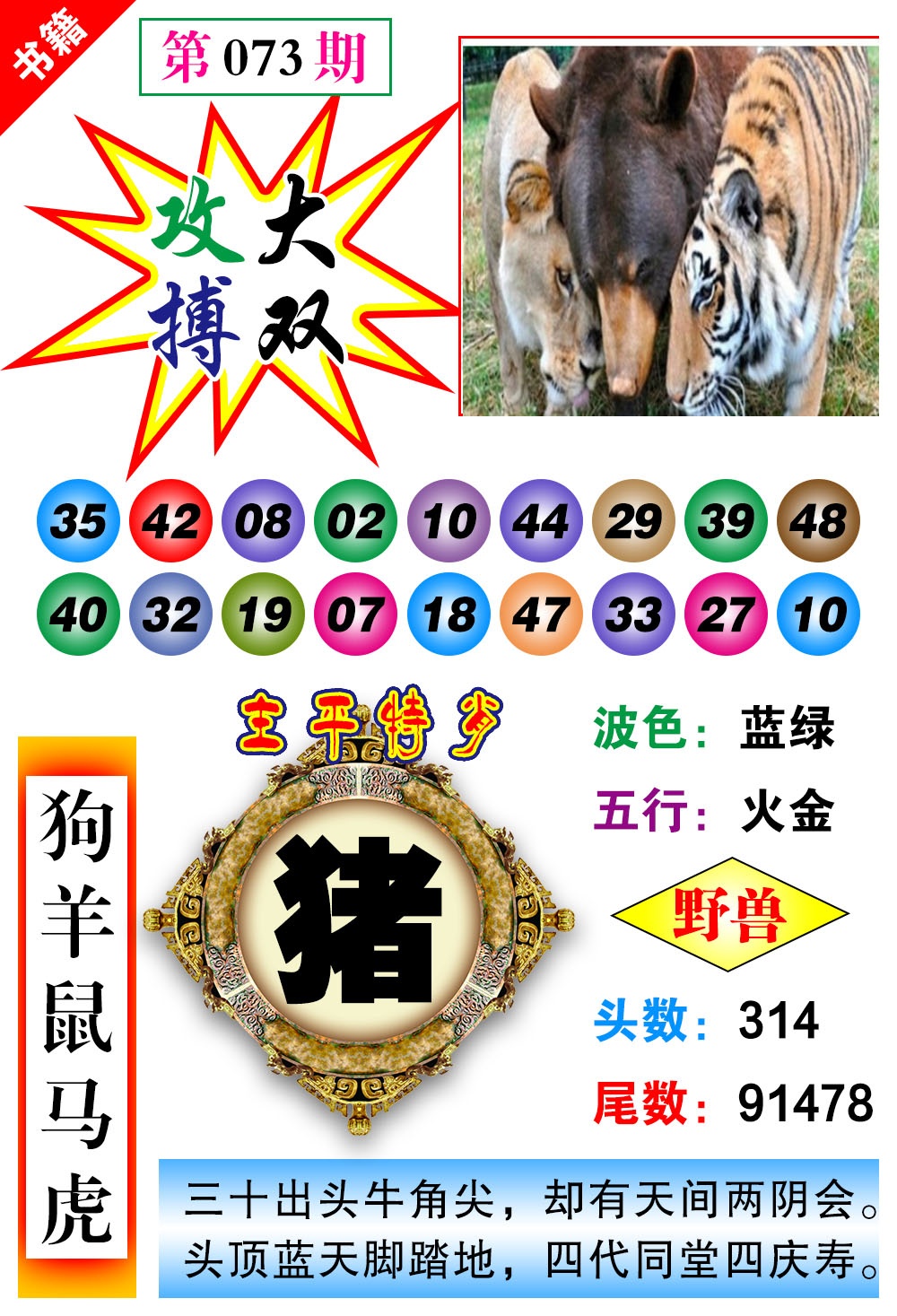 ���ͼƬ�Ŵ�